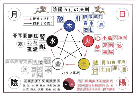 五行健康|陰陽五行説と東洋医学の関係を解説！体質改善や美容。